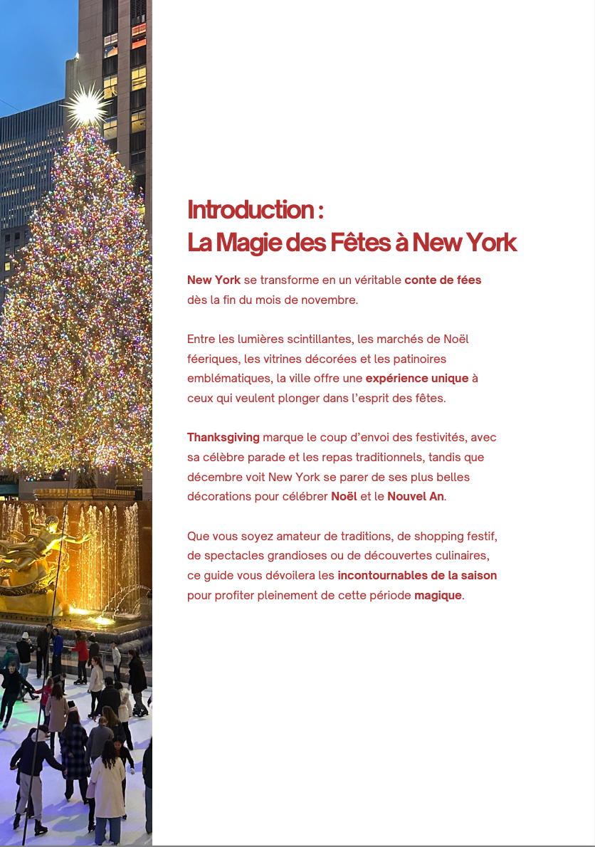 Guide Fêtes de fin d'année à New York 🎄