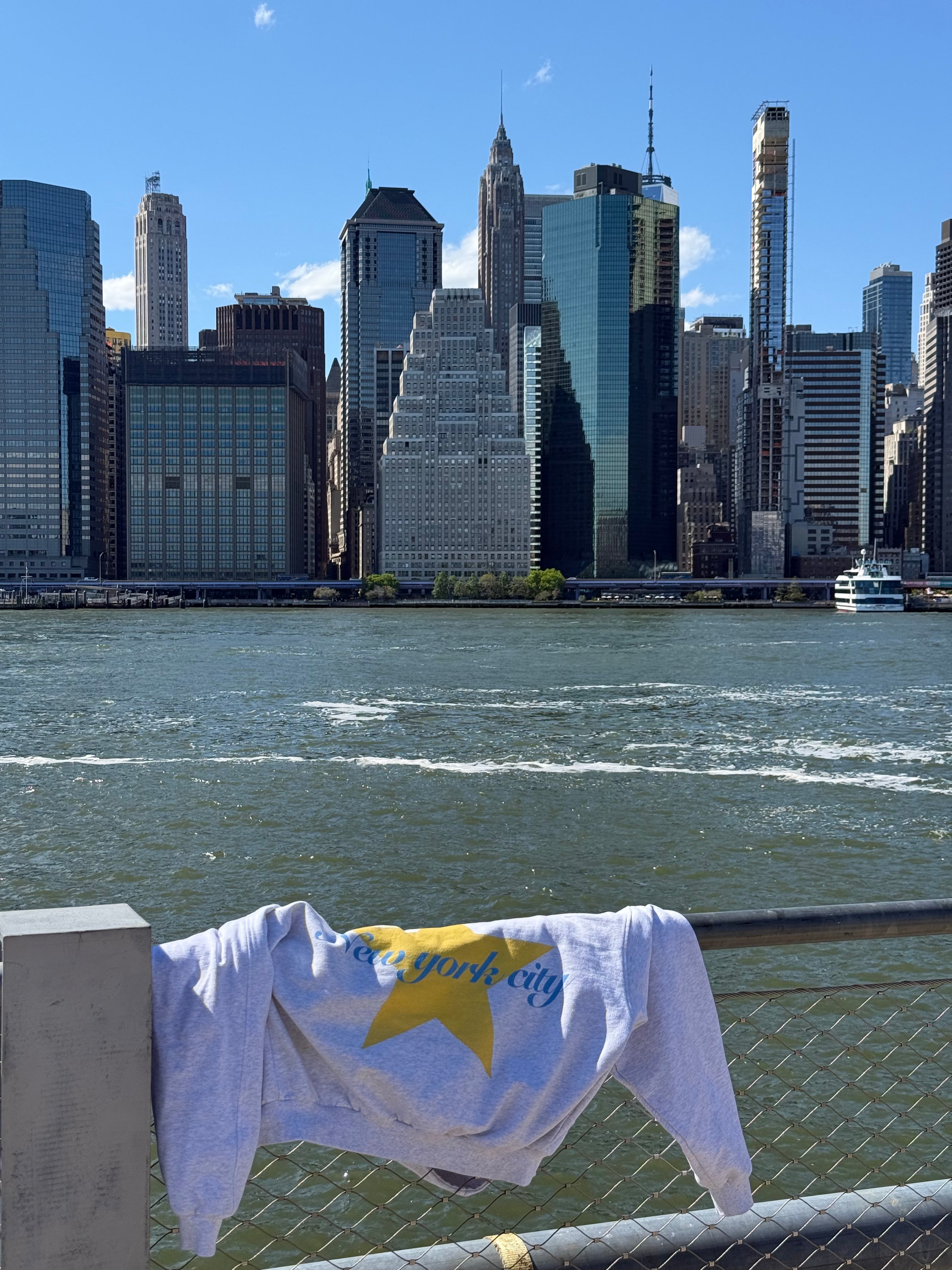 Hoodie zip etoile NYC